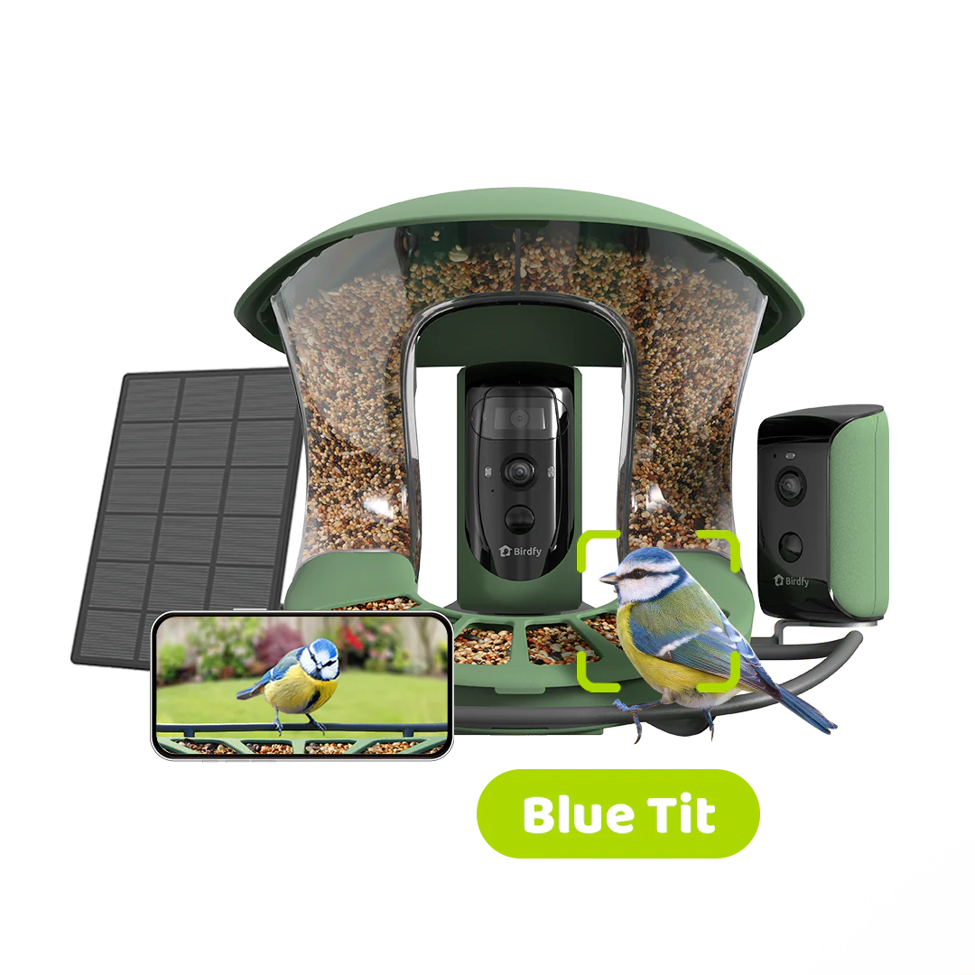 Birdfy Feeder 2 Duo