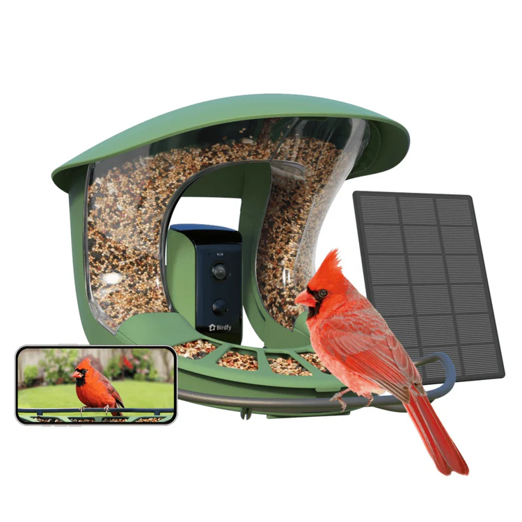 Birdfy Feeder 2